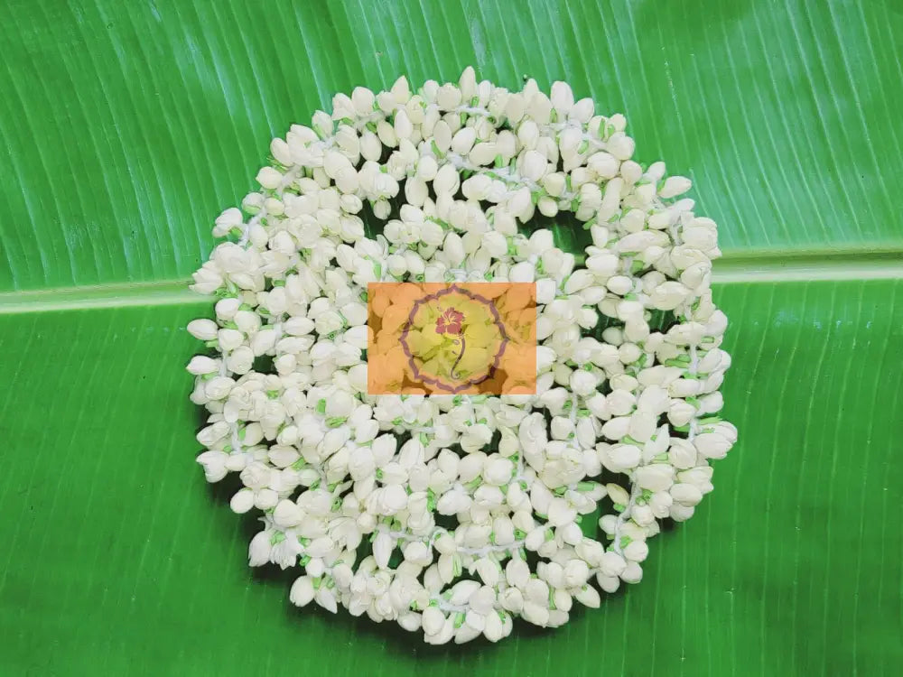 Jasmine Flower String