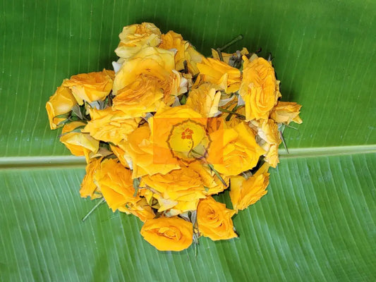 Button Rose Yellow Loose Flowers