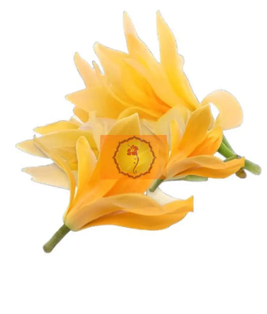 Champa Loose Flowers