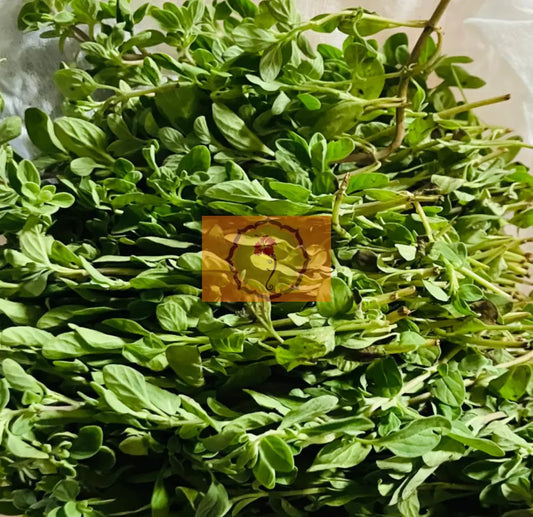 Fresh Maruvam/Marjoram/Maruva leaves