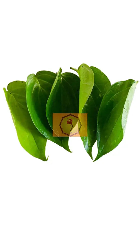 Fresh Paan Leaves