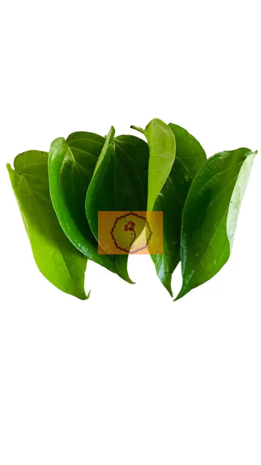 Fresh Paan Leaves
