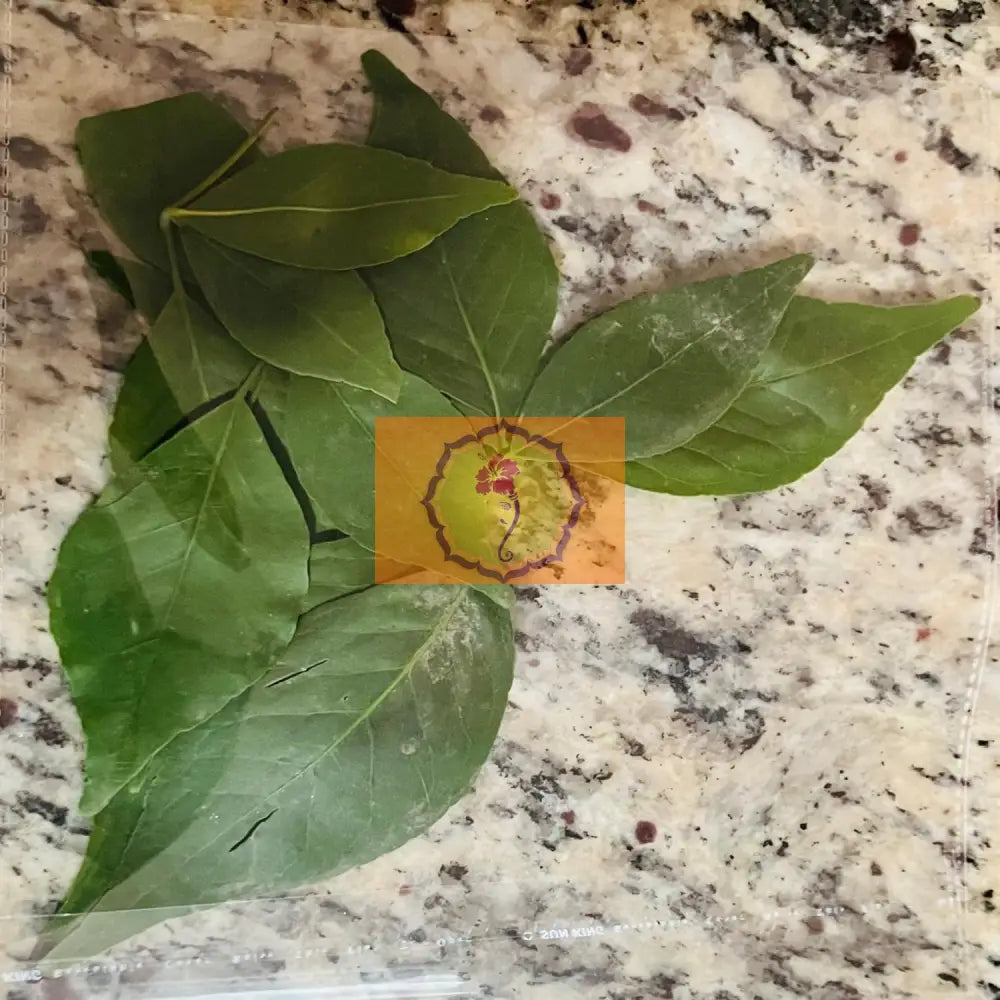 Fresh Vilvam /Maredu leaves