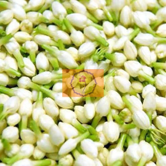 Jasmine Loose Flowers