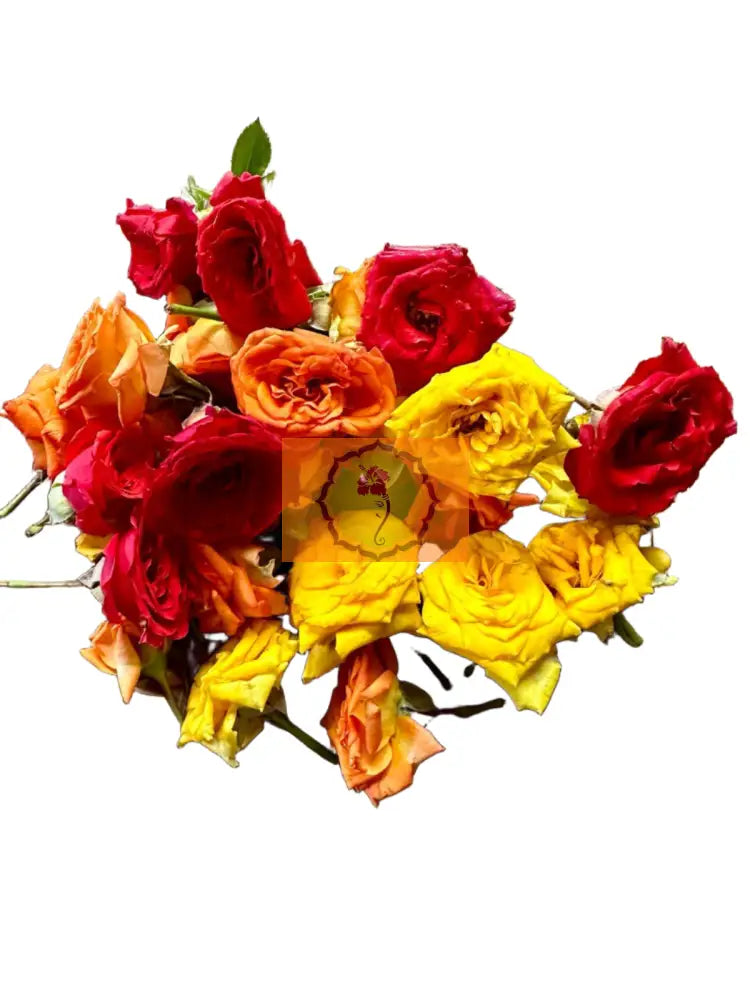 Mixed Button Rose Loose Flowers