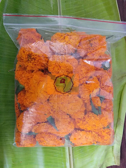 Orange Marigold Loose