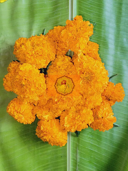 Orange Marigold Loose