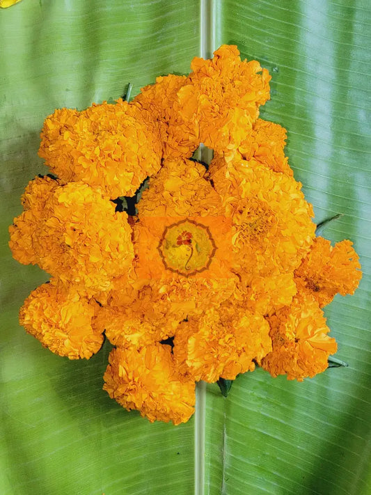 Orange Marigold Loose