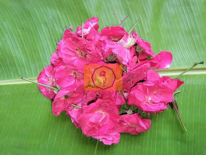 Paneer Rose Loose Flowers