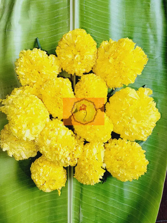 Yellow Marigold Loose